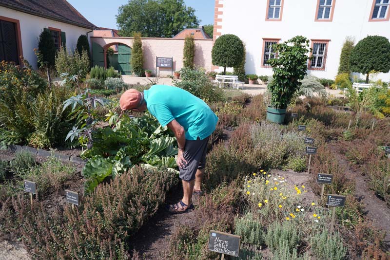 18-08-18_Sel_0191-LeS_02907