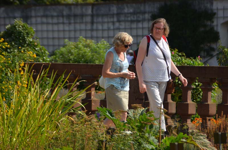 18-08-18_Sel_0211-GAB_8843